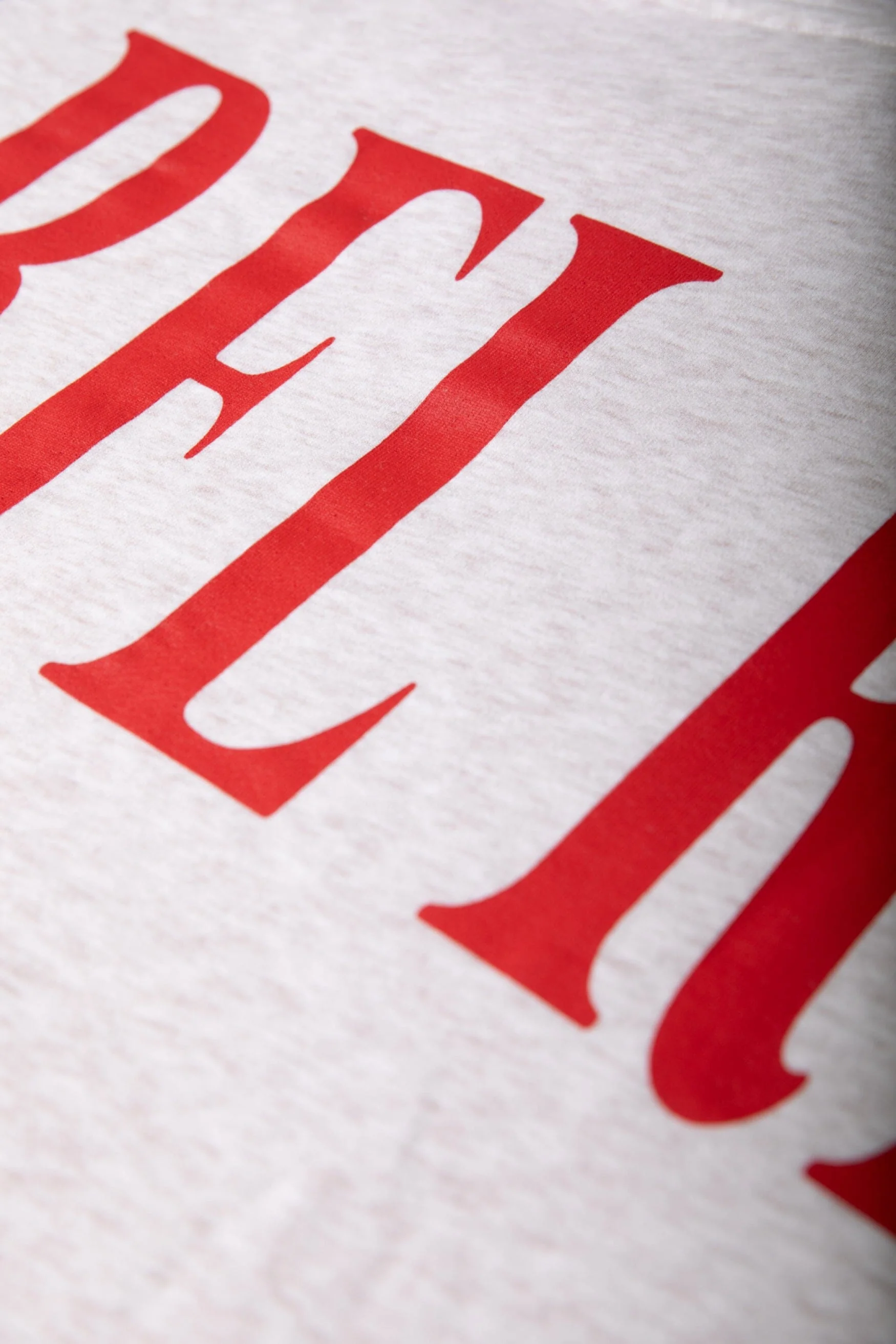 Colourful Rebel Logo Hoodie | Medium grey melange - Image 3