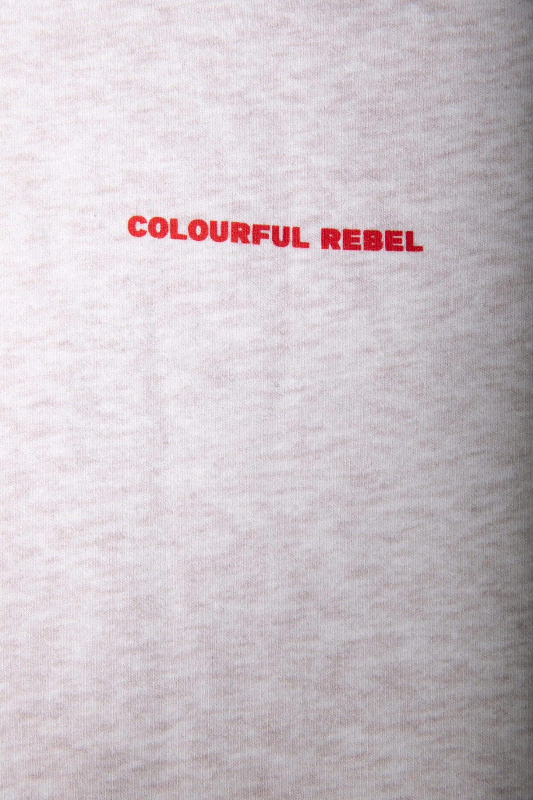 Colourful Rebel Logo Hoodie | Medium grey melange - Image 4