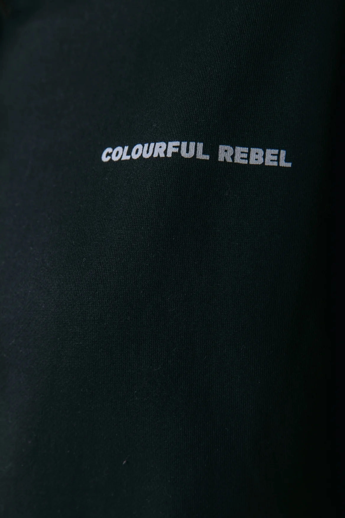 CR Big Logo Sweat | Black - Image 4