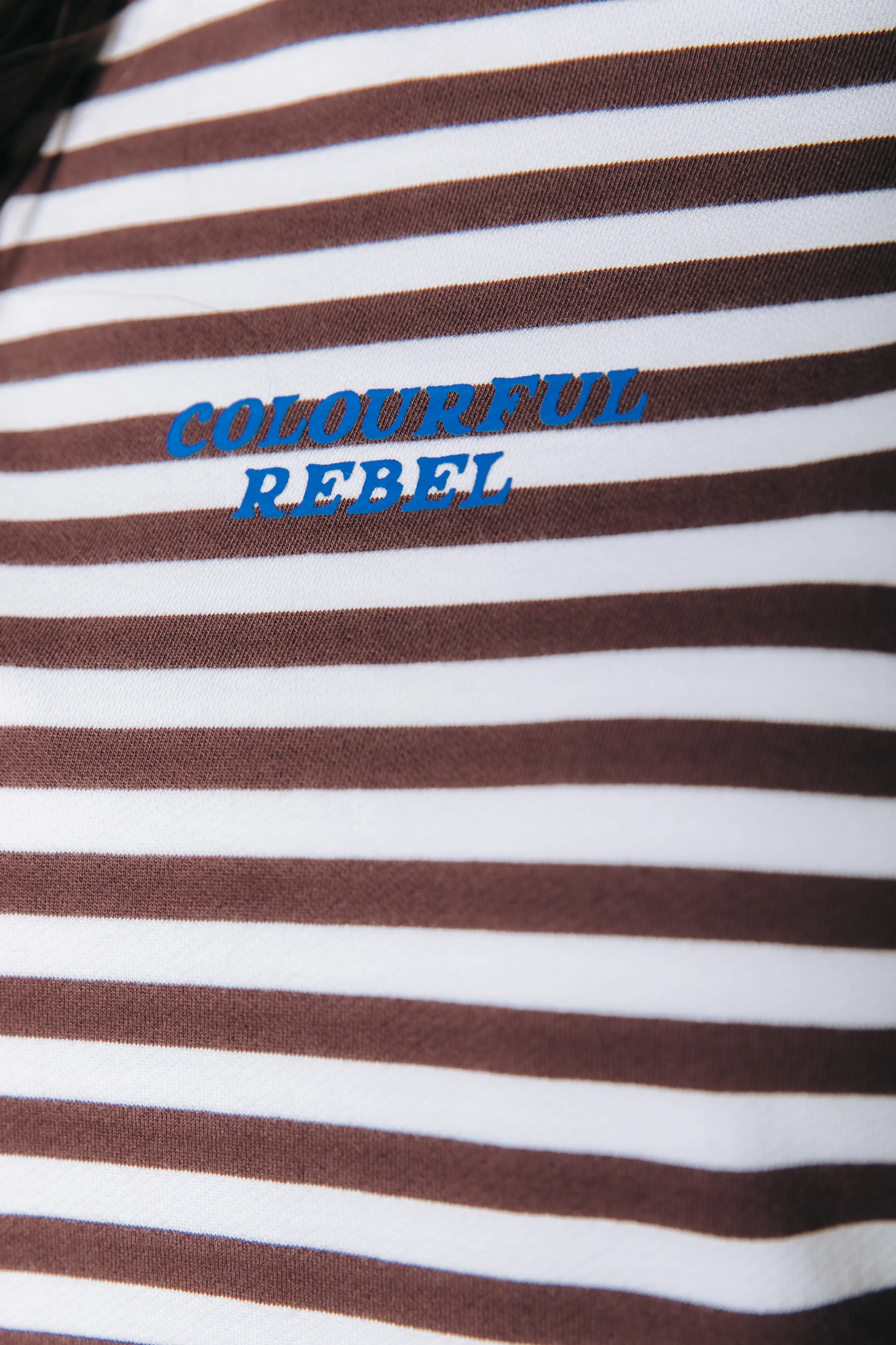 Logo Striped Sweat | Brown - Image 4