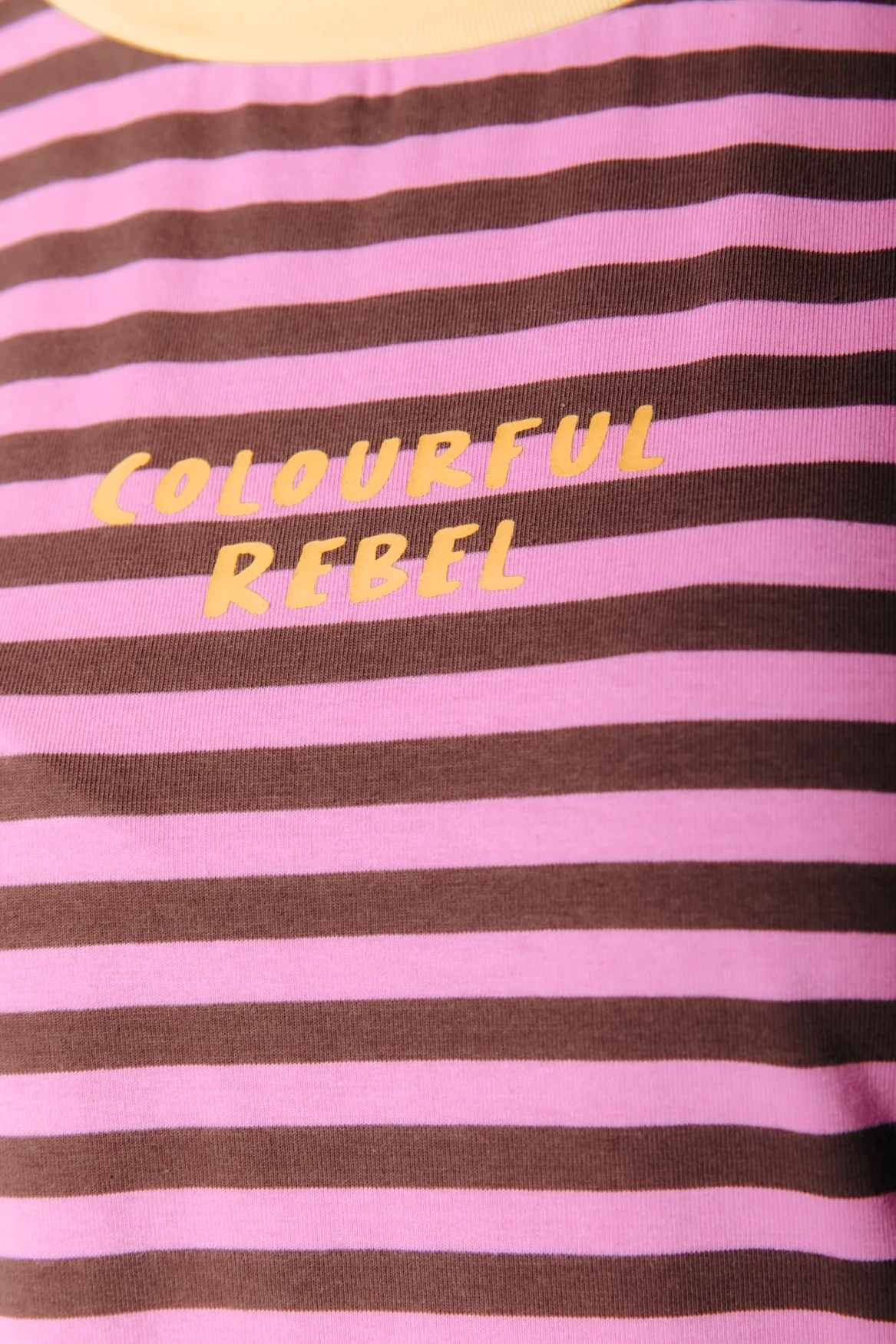 Striped Logo T-shirt | Brown/Pink - Image 3