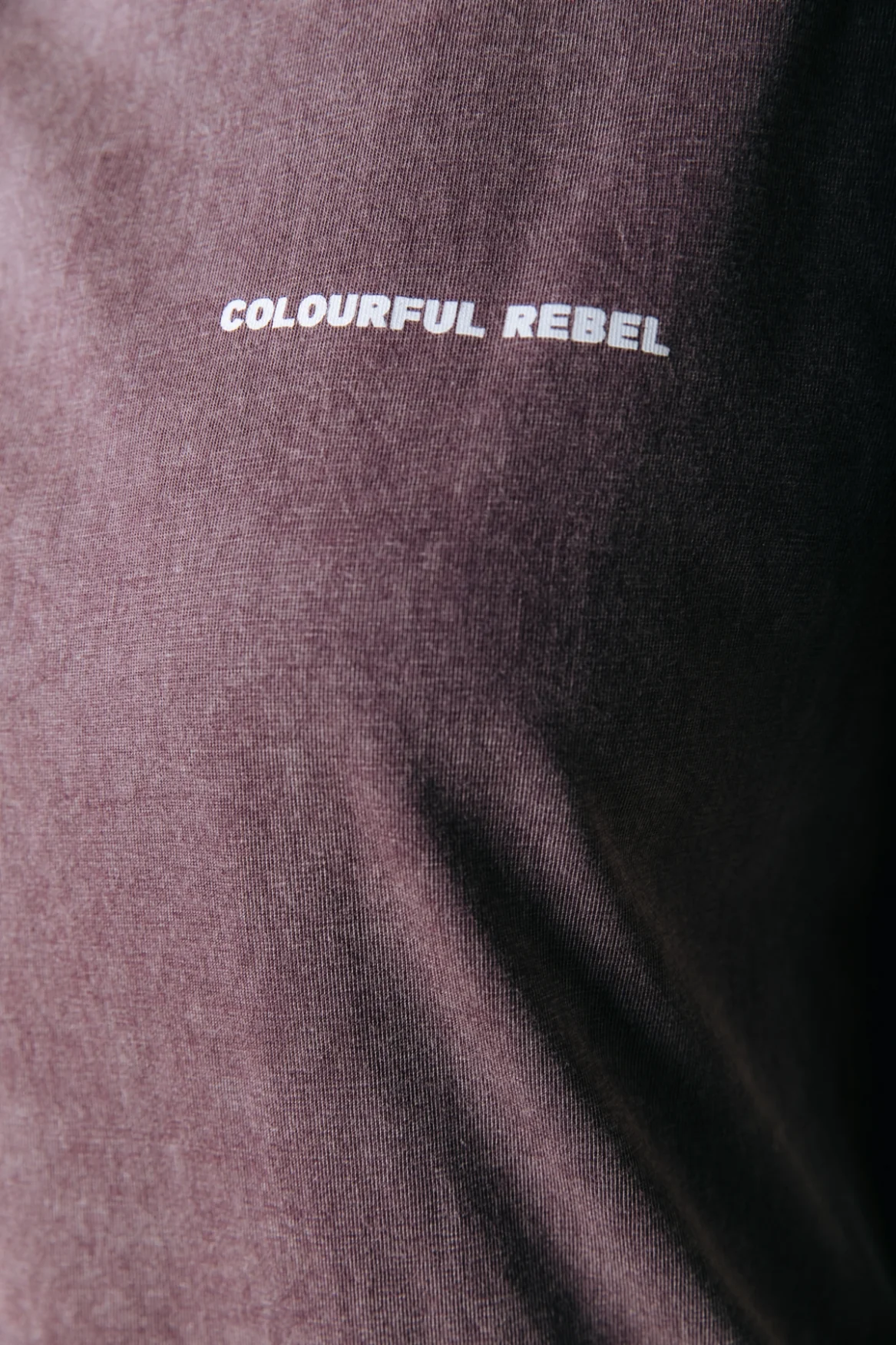 Beach Tour Acid Wash T-shirt | Warm Brown - Image 4